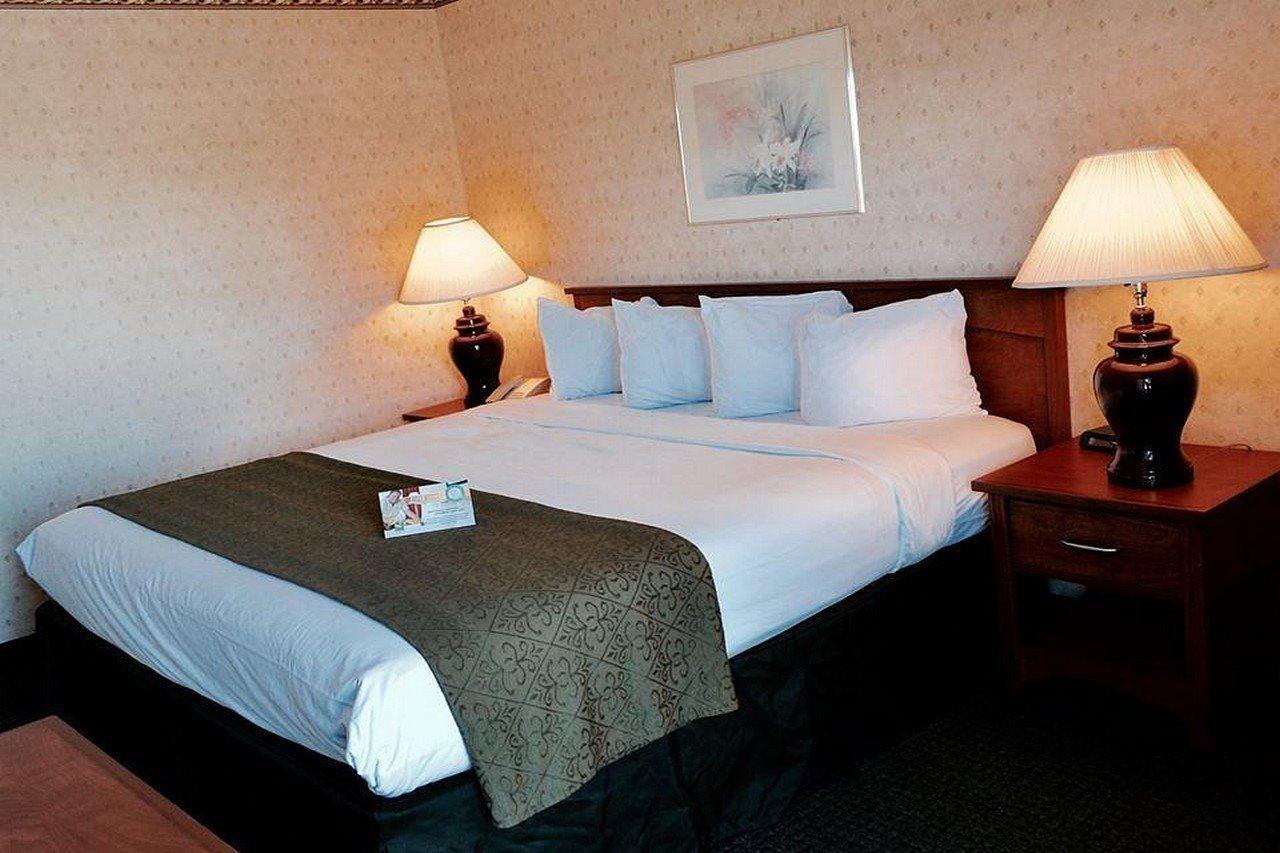 Quality Inn & Suites Silicon Valley Santa Clara Eksteriør billede
