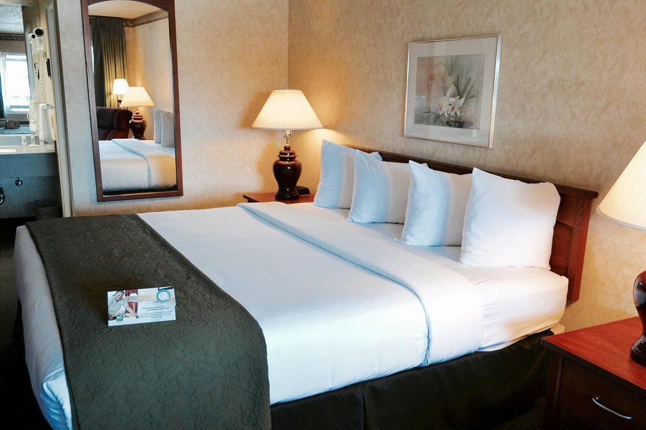 Quality Inn & Suites Silicon Valley Santa Clara Eksteriør billede