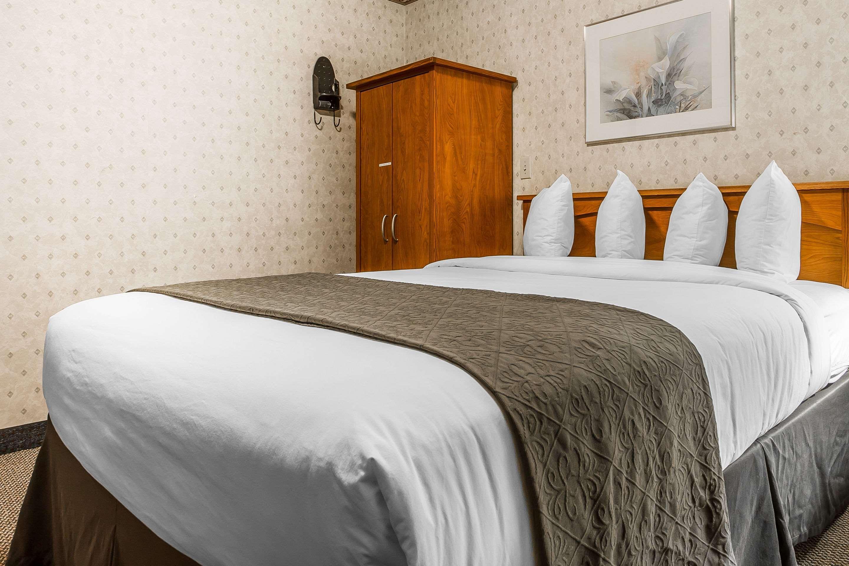 Quality Inn & Suites Silicon Valley Santa Clara Eksteriør billede