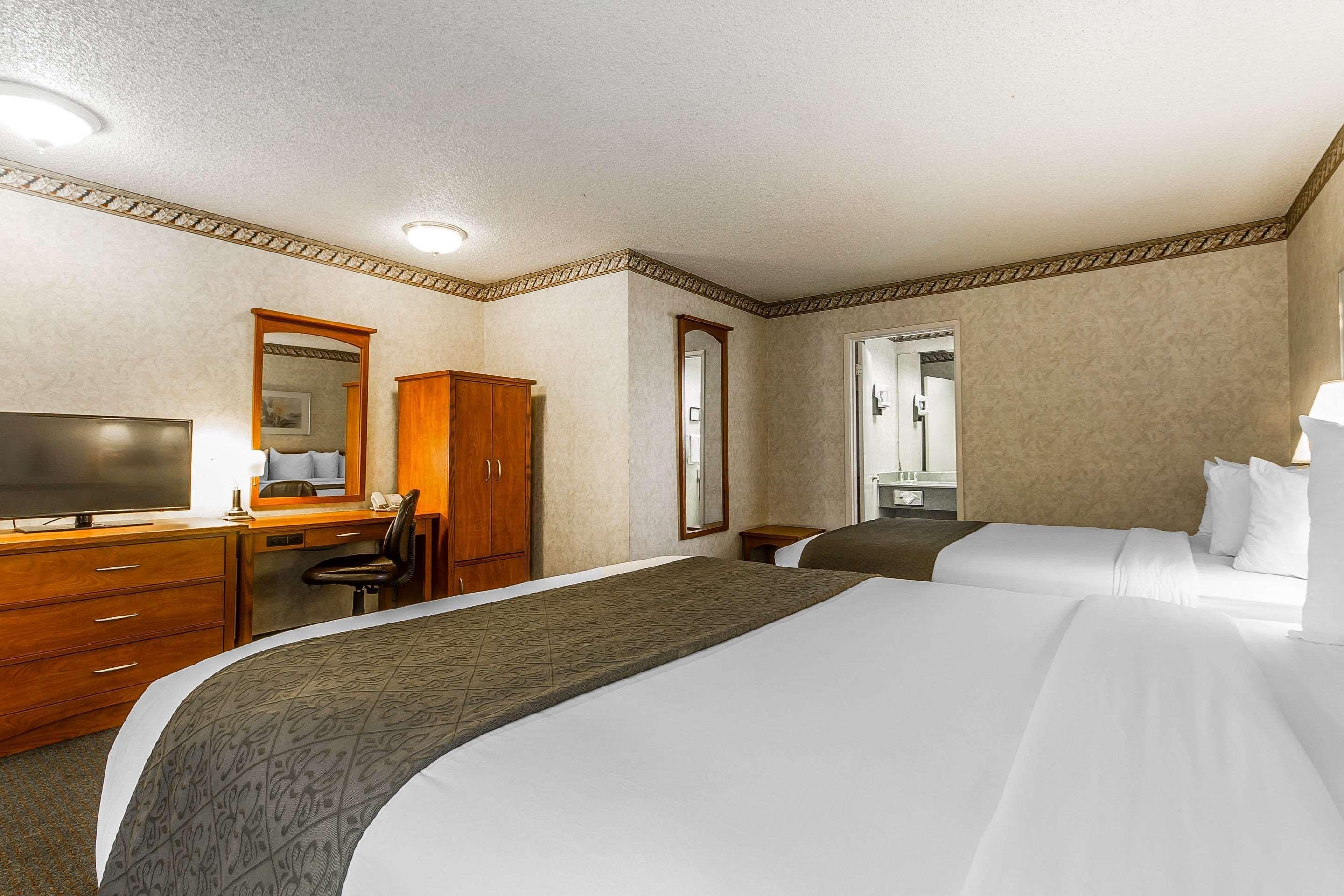 Quality Inn & Suites Silicon Valley Santa Clara Eksteriør billede