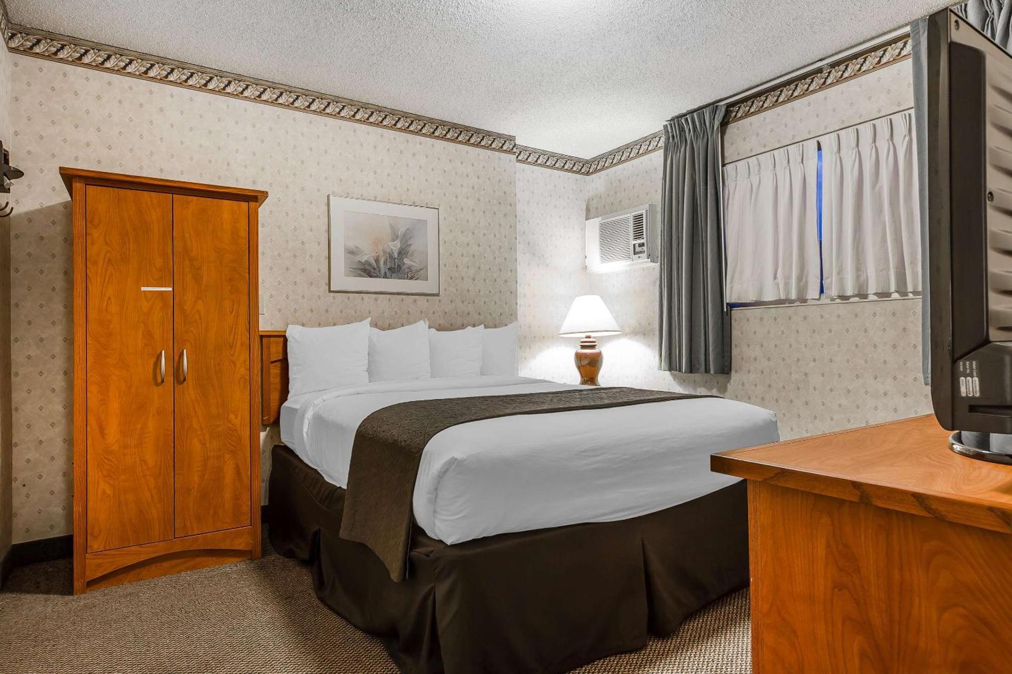 Quality Inn & Suites Silicon Valley Santa Clara Eksteriør billede
